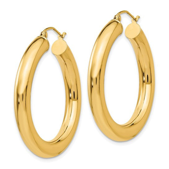 10 Karat Yellow Gold Elegant Earrings
